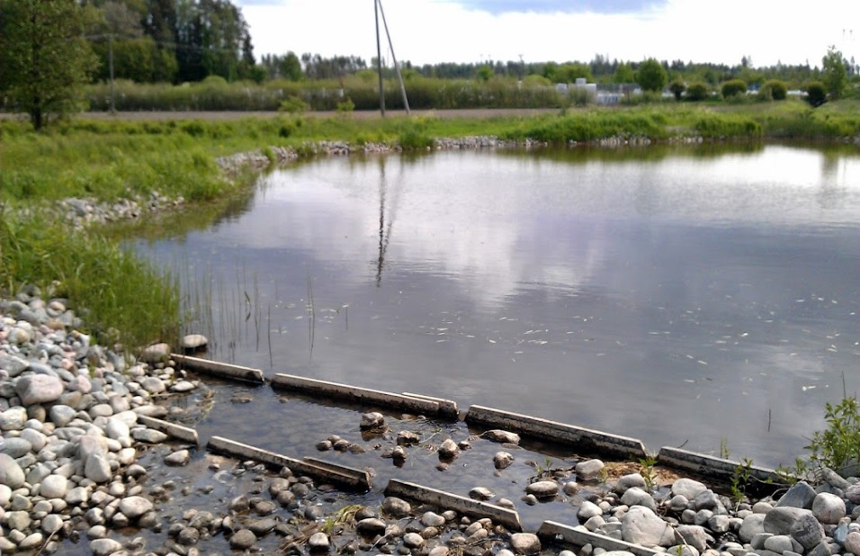 Kosteikot Matalajärven kosteikko, Espoo