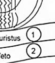 (Ehrola, 1996) Kerroksittain vaihtelevien materiaaliominaisuuksien lisäksi tierakenteessa vallitsevan