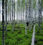 Vuonna 2002 toiminta Metlan tutkimusmetsissä keskittyi entistä enemmän Metlan päätehtävään eli tutkimukseen.