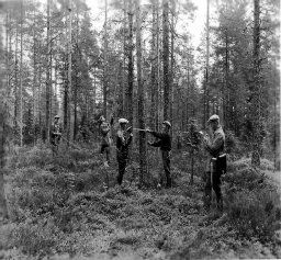 Valtakunnan metsien yhdeksäs inventointi (VMI9) on edennyt Pohjois-Suomeen ja maastomittaukset valmistunevat vuonna 2003; eteläisen Suomen VMI9- tulokset on jo julkaistu.