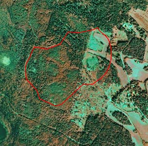 seuraavasti: Kaavaa laadittaessa tulee riittävän aikaisessa vaiheessa laatia kaavan tarkoitukseen ja merkitykseen nähden tarpeellinen suunnitelma osallistumis- ja vuorovaikutusmenettelyistä sekä