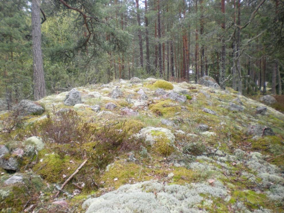 Todennäköinen hautaraunio.