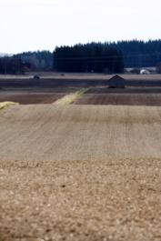 Maatalouden vesiensuojelutoimenpiteiden vaikutusten todentaminen jatkuvatoimisilla mittauksilla rakennekalkki, jankkurointi, kevytmuokkaus, talviaikainen kasvipeitteisyys Vantaanjoen ja Helsingin