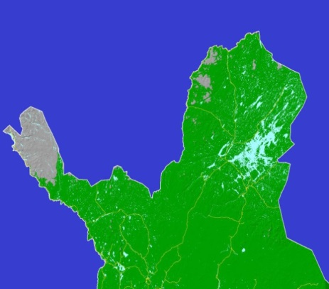 Männyn, kuusen ja koivun kokonaiskasvu (m 3 /ha/vuodessa) nykyilmastossa (a), sekä ennuste ilmastonmuutoksen vaikutuksista kasvuun välillä 1991 2020 (b), 2021 2050 (c) ja 2070 2099 (d).