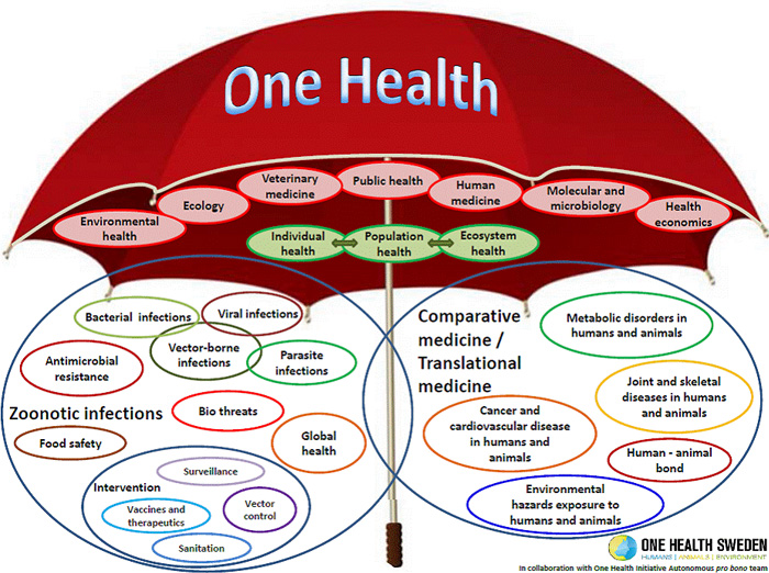 Kuva 4. One Health ( yksi terveys ), jossa ihmisten, eläinten ja ympäristön hyvinvointia ja terveyttä edistetään laajalla tieteidenvälisellä yhteistyöllä (http://www.onehealthinitiative.com/about.