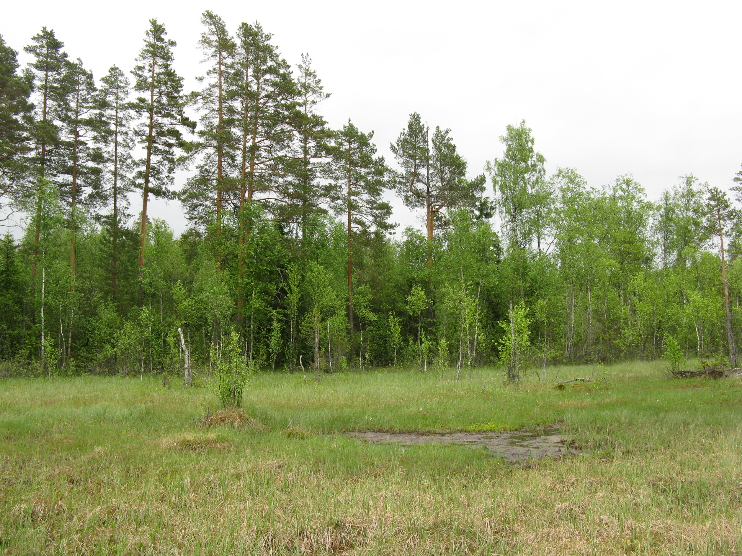 Pieninä palasina tietosi maailmalla.