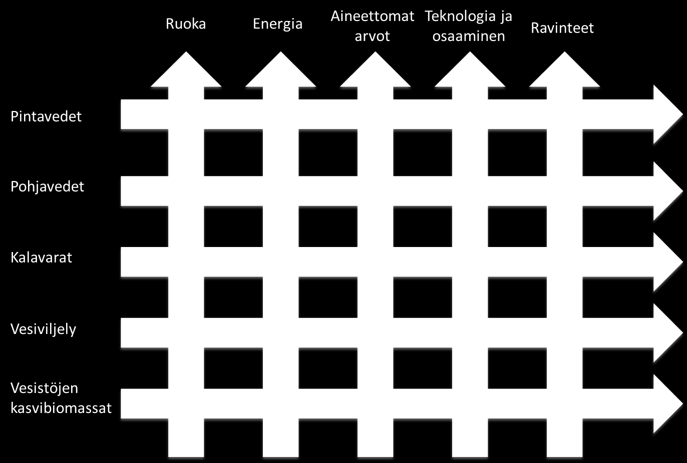 Sininen biotalous Suomessa Osaoptimointia vai kokonaisvaltaista kehittämistä?