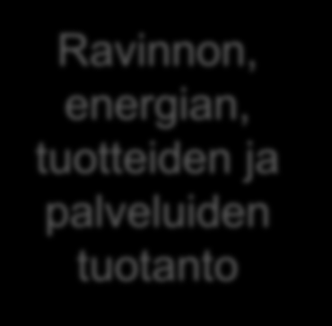 Sinisen biotalouden mahdollisuudet ITC-teknologia Elintarviketeollisuus Meriteknologia Ravinnon, energian, tuotteiden ja palveluiden