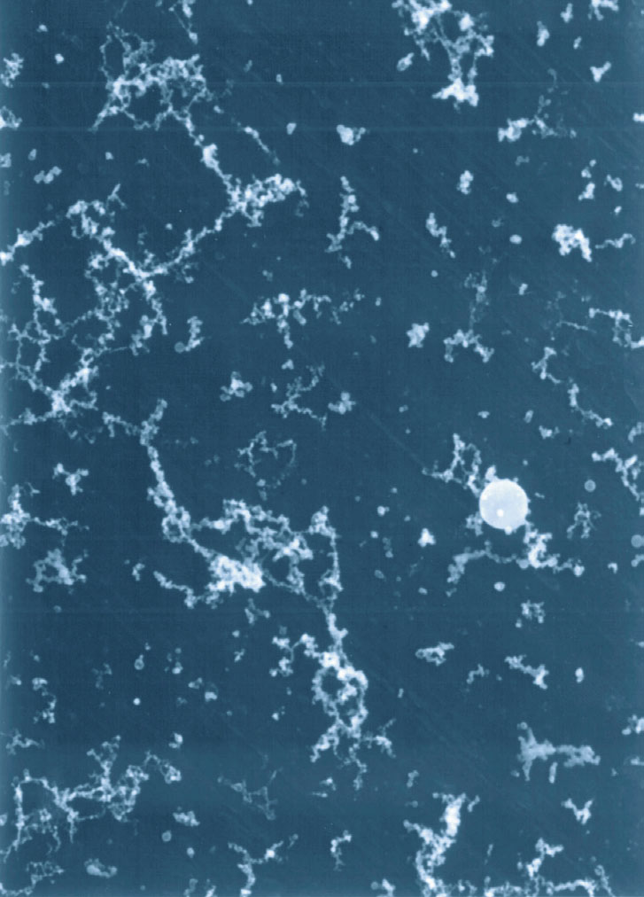 Foto 4. Keevitusaurude 5000 kordne suurendus: üliväikestest osadest koosnev aur sisaldab raua ja muude sulamite oksiide.