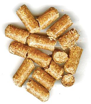 23 4 Polttoaineet Biolämpökattiloissa polttoaineina käytetään suorapolttoisia bioenergiaraaka-aineita, kuten pellettejä, haketta ja polttopuuta.