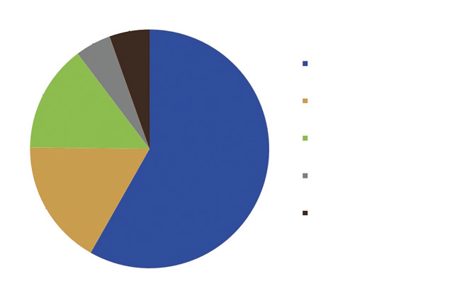 5 % 5 % 15 % Automaattiasemien leasingkustannukset ja muut toimitukselliset kustannukset Huoltotyöt (70 htp) 58 % Vedenlaatunäytteiden analyysikustannukset (35 x 5 näytettä) Muut työt: tulkinta,