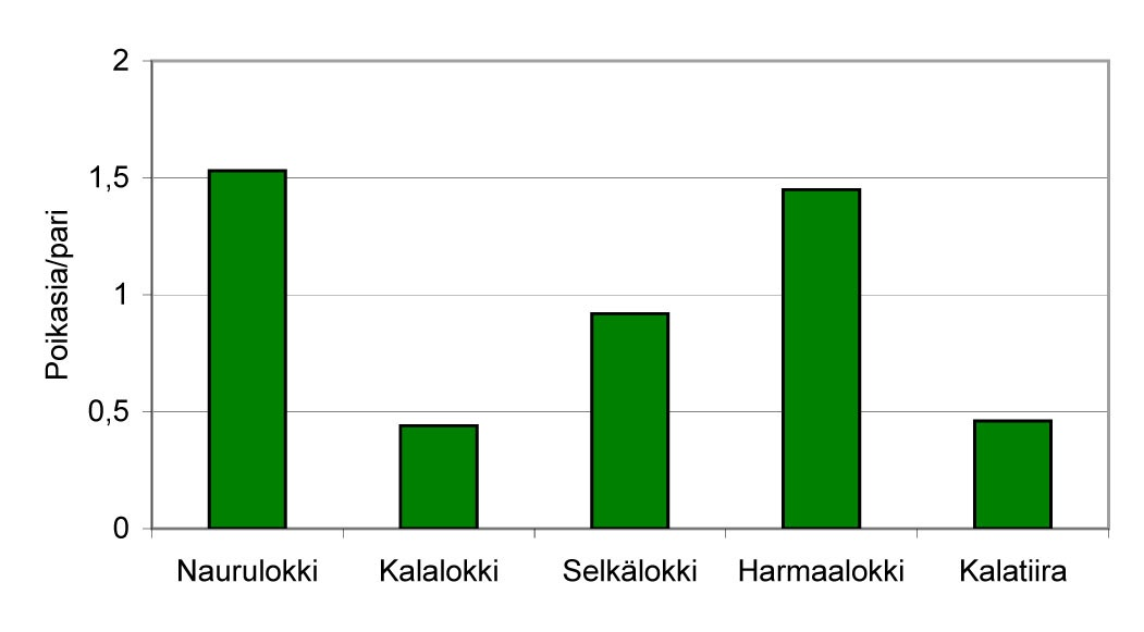 Kuva 29. Lokkilintujen keskimääräinen poikastuotto paria kohti kaikilla seuranta-alueilla yhteensä kesällä 2006. Kuva 30.