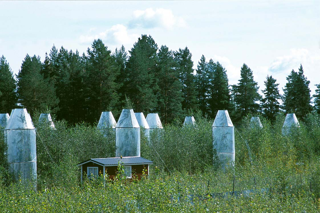 Lämpötilan ja hiilidioksidin vaikutus puiden kasvuun; kokeellisia tuloksia Pitkäaikaiskokeet (Heikinheimo 1920-2000) Siemenalkuperiä väliltä Saksa Lappi maan eri osiin Lämpötilan nousu 4 asteella