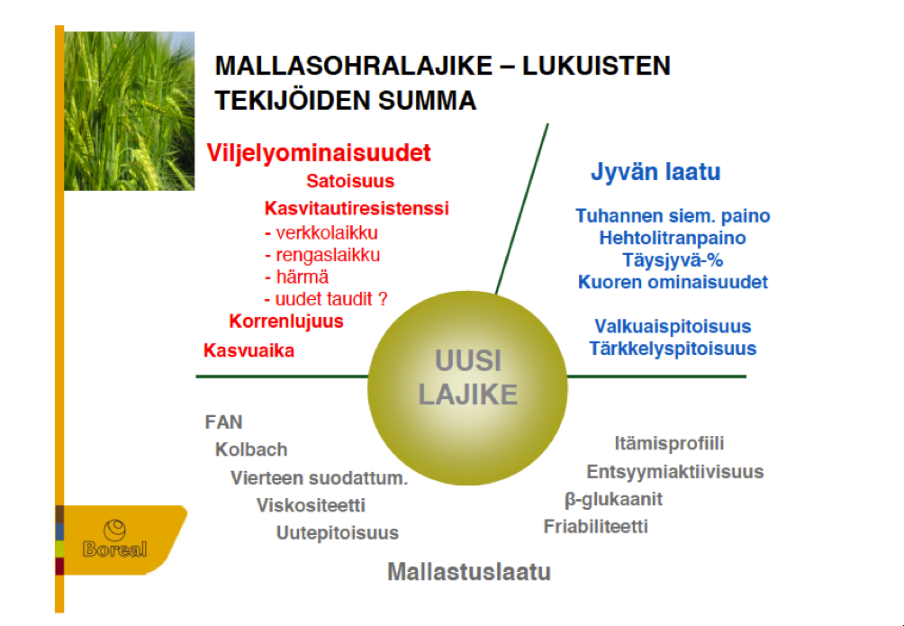 Kuva 1. Mallasohran jalostustavoitteita. (Reino Aikasalo, 29.3.2011.) Viljelyn kehittyessä voidaan jalostuksen päämääriä joutua muuttamaan huomattavastikin.
