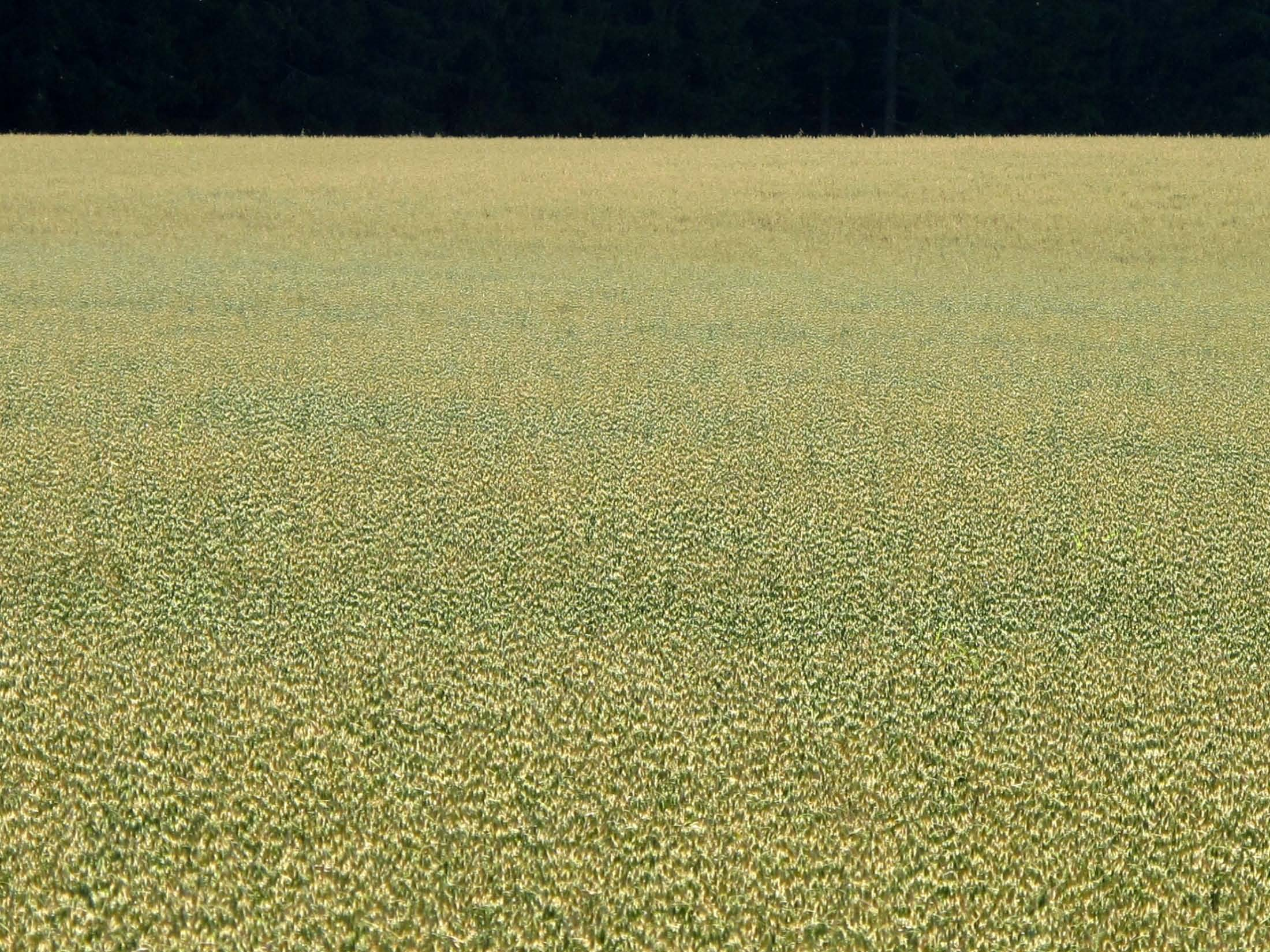 MRL 1999, luonnonsuojelulaki 1996 valtakunnalliset alueidenkäyttötavoitteet, Eurooppalainen maisemayleissopimus (2005) RKY-päivitys 2009 Vanhojen alueiden