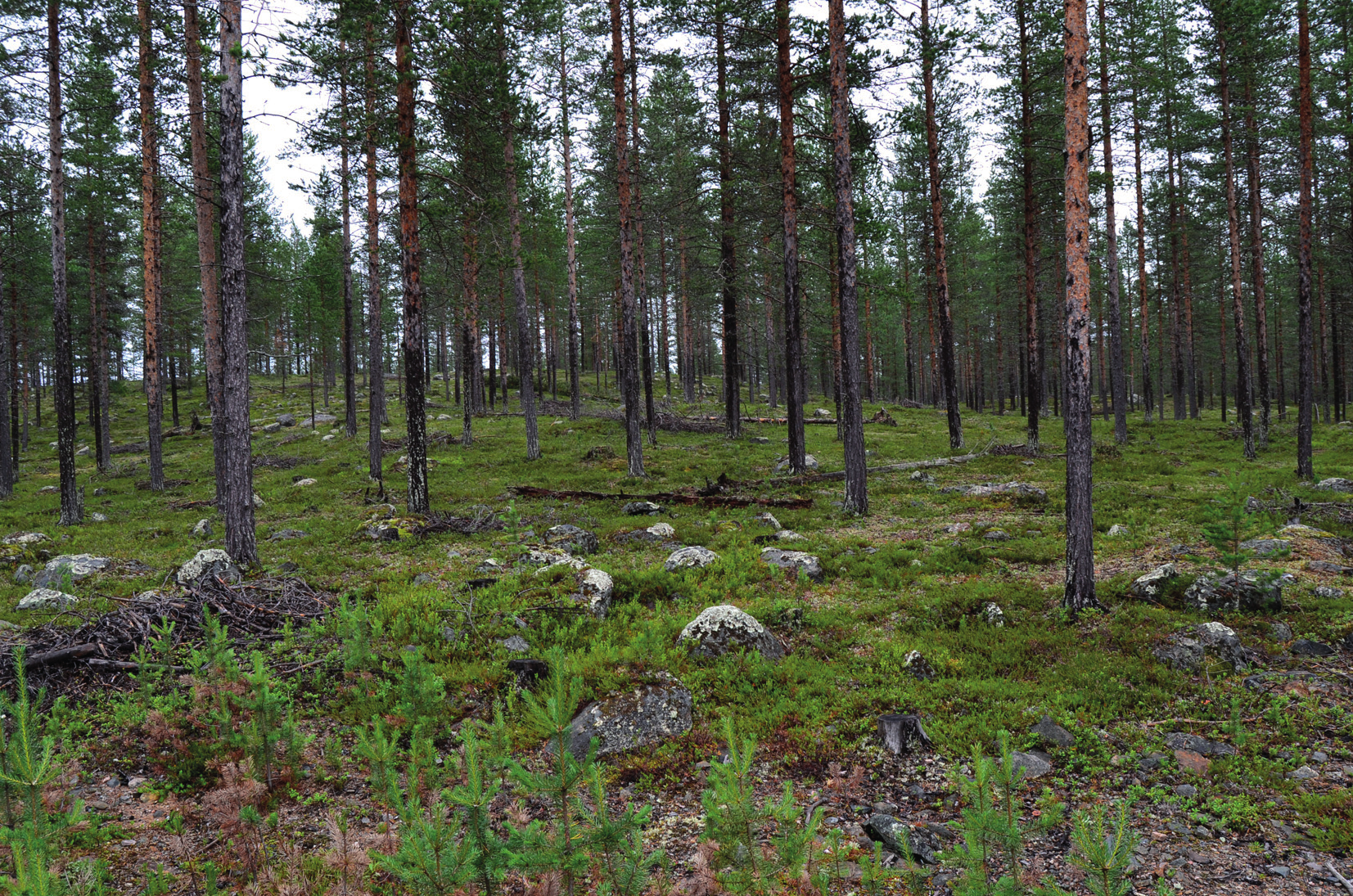 11.2.10 Epävarmuustekijät Maisemassa ajan mittaan tapahtuvat muutokset sekä esimerkiksi moninaiset vuodenaikojen vaihteluiden mukaan tapahtuvat muutokset tekevät maisemavaikutusten arvioinnista