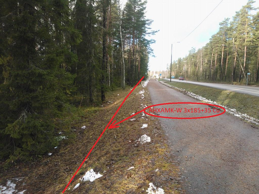 39 tään 185 mm 2 poikkipintaa ja jakelualueen laidalla päättyvässä keskijännitehaarassa käytetään 70-120 mm 2 poikkipintaa. (Salonen 2012d, 1.