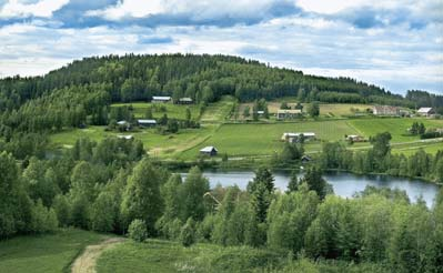 Uusinta uutta puusta ja metsästä Metlan Itä-Suomen