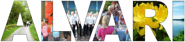 Alueellisen vaikuttamisen kanava ETELÄ-ALVARIN KOMMENTIT 3.10.