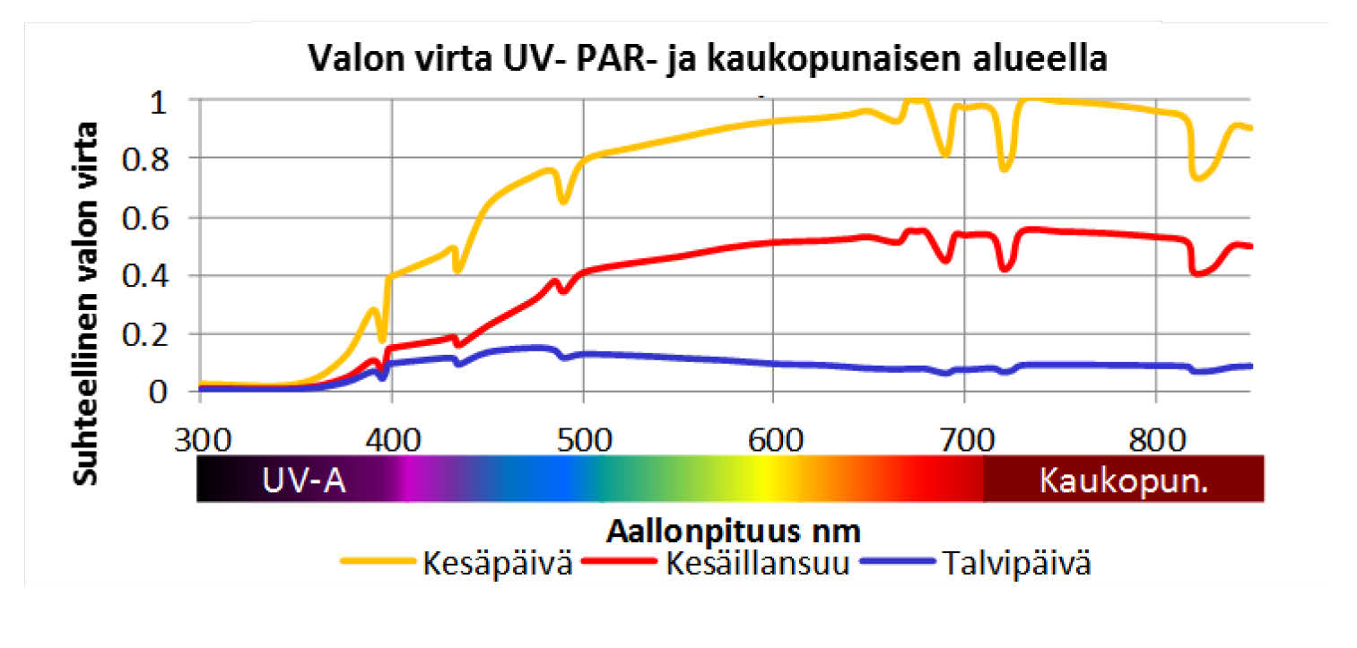 8.2. Valon aallonpituuskaistojen käyttö yhteyttämiseen Punainen valo tehokkainta yhteyttämisessä Kasvit käyttävät koko PAR-kaistan (400 700 nm) säteilyä yhteyttämisessä.