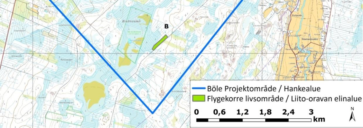 Vaikka hanke toteutetaan, tulee alueella olemaan riittävästi puustoisia yhteyksiä liito-oravien lisääntymis- ja levähdysalueiden välillä.