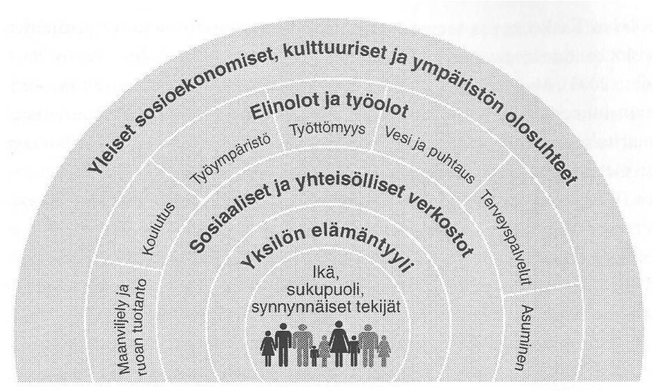 Terveyden taustatekijät Dahlgren &