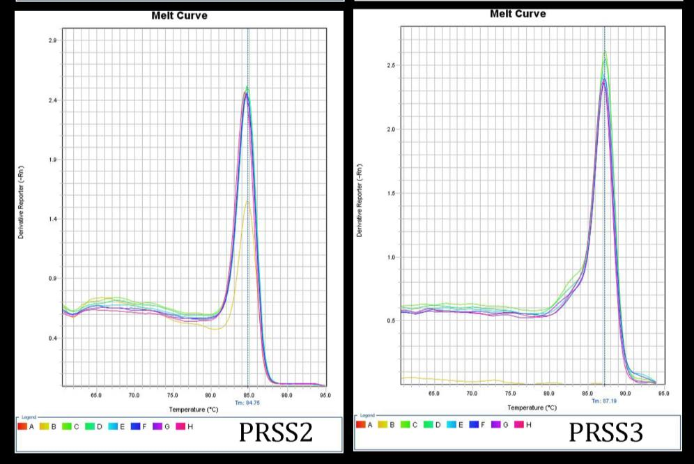 36 Kuvio 14 b. qrt-pcr-monistuksen sulamiskäyräanalyysit oligonukleotidisekvensseille PRSS2 ja PRSS3. 7.