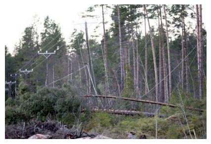 4.1 Pyry ja Janika 18 Syksyllä 2001 Suomea riepottelivat Pyry- ja Janika-myrskyt. Näiden vaikutuksesta aiheutui sähkökatkoja yli 800 000 sähköyhtiöiden asiakkaalle.