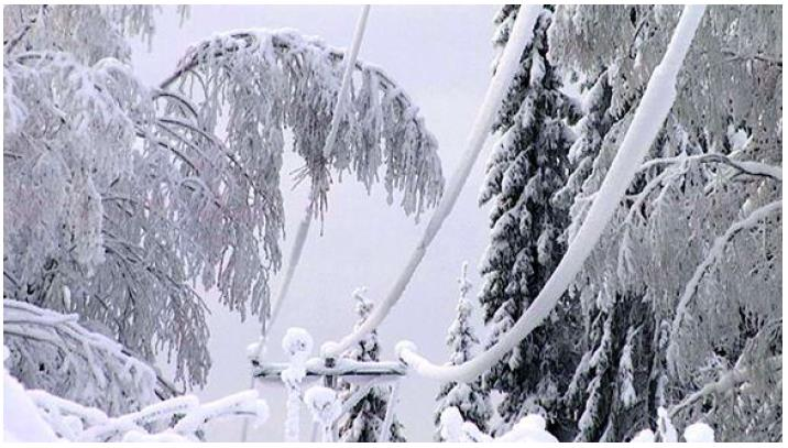 4.4 Talven 2011 lumikuormat 21 Vuoden 2011 alussa lumikuormat aiheuttivat sähkökatkoja kymmenille tuhansille asiakkaille. Pisimmillään asiakkaat joutuivat olemaan ilman sähköjä noin viikon.