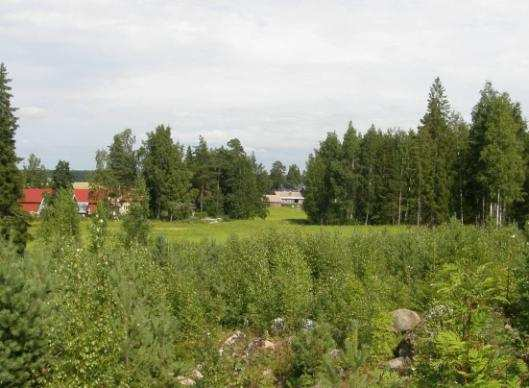 FCG Finnish Consulting Group Oy Arkeologinen inventointi 30 (48) Kuva 19.