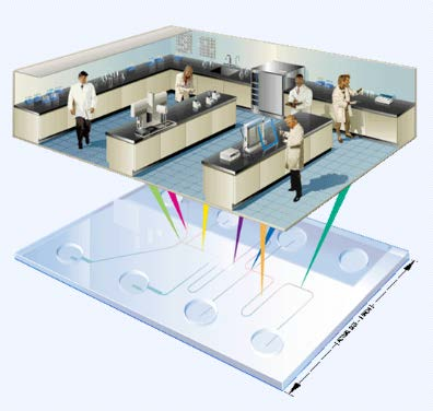 synthesis characterization