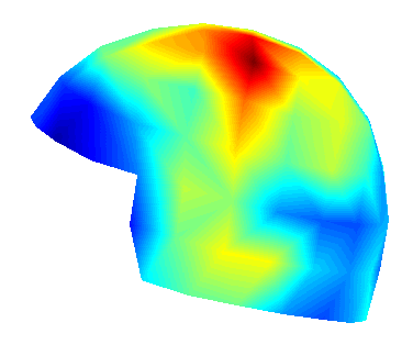 neuroscience question