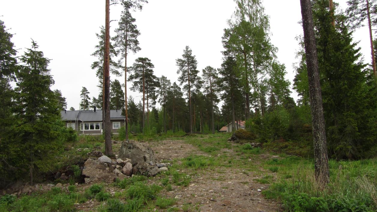 nro 38 Bolotvägenin