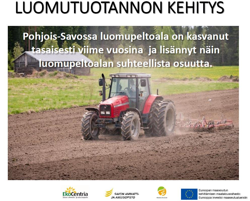 kiinnostavimmat