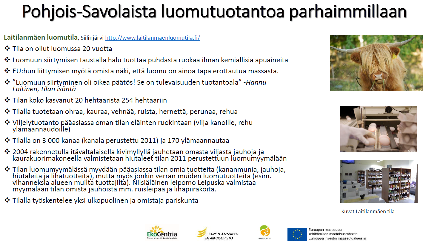 Media rakastaa kiinnostavia ihmisiä ja