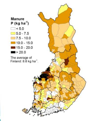 Lanta on arvokas raaka-aine Kotieläintuotannon lannan fosfori riittäisi teoriassa kattamaan koko maan kasvien fosforitarpeen.