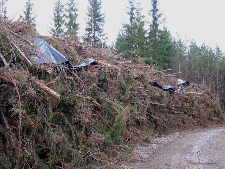 Metsähakkeen tuotantoketjut