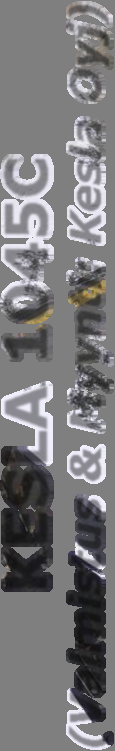 Myynti: Kesla