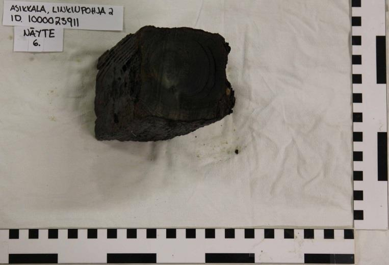 Tämä näyte otettiin paapuurin puolen kylkilankusta läheltä perärankaa. Kuva 1. Näyte 1. Perästeevin sisempi osa.