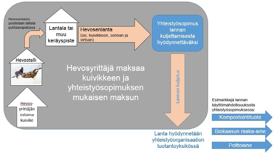 Etelä-Savossa toimivaksi malliksi voisi muodostua kuvassa 2 esitetty yhteistyösopimusmalli, jossa hevosyrittäjä ostaa edelleen tallikuivikkeensa itse mutta tietää saavansa tallitoiminnassaan syntyvän