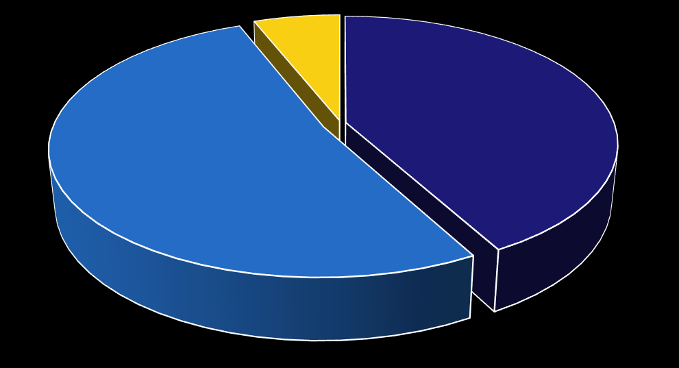 Työn laatu 2009 valmistuneilla Yli 40% vastanneista on