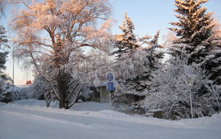 Alueen luonnetta kuvaavat seuraavat kaksi kuvaa.