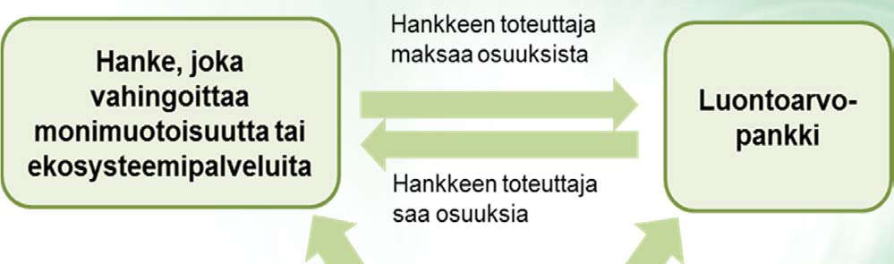 Luontoarvopankin osapuolet Hook ja Shadle (2013) Hyötyjä ja haittoja + Lisää monimuotoisuutta (tai vähintään säilyttää ennallaan), koska aiheutetut haitat on korvattava +