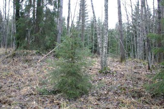 Kettuvuoren kohteeseen on liitetty lisäksi kaksi pientä ja hieman epämääräistä kiviröykkiötä erilliskohteina (röykkiöt 1 ja 2).