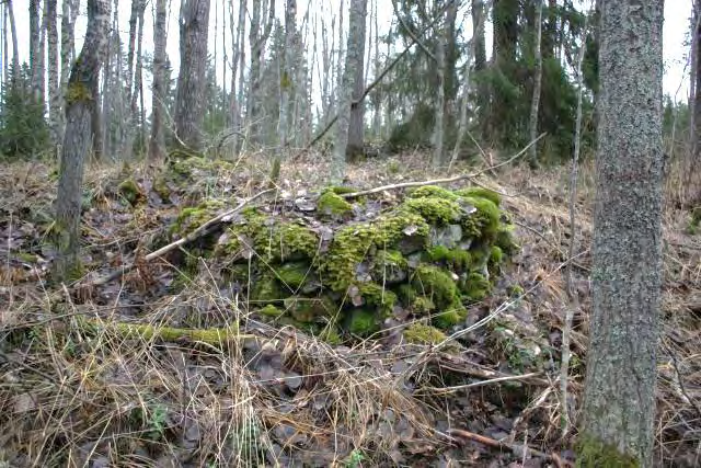 20 DG2933:6. Kettuvuori. Mahdollisen rakennuksen luoteisnurkka luoteesta kuvattuna. Kuva Ville /Arkeologiset kenttäpalvelut DG2933:8. Kettuvuori. Pyöreä tornimainen röykkiö Kettuvuoren laen eteläosassa.