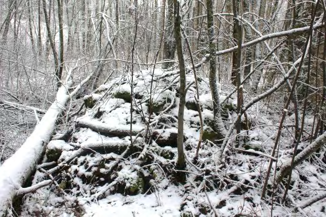 24 DG2935:1. Päivölä. Suuri viljelyröykkiö ja Ville.