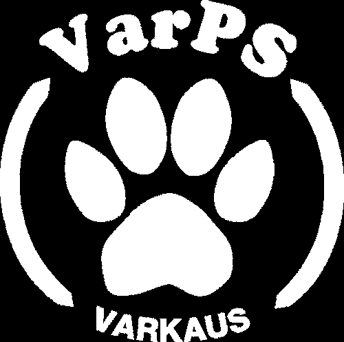 VARKAUDEN PALVELUS- JA SEURAKOIRAT RY TOIMINTAKERTOMUS 2015 SISÄLTÖ YLEISTÄ... 2 HALLITUS JA TOIMIHENKILÖT... 2 JÄSENLEHTI... 2 VUOSIKOKOUS JA MUUT KOKOUKSET... 3 JÄSENISTÖ... 3 EDUSTUKSET.