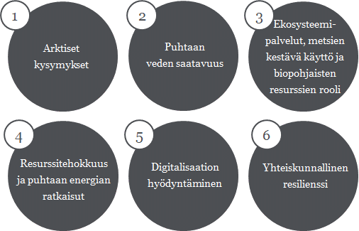 Kuva 5. Ehdotukset Suomen kansainvälisen luonnonvarapolitiikan teemoiksi 1.