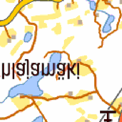 3000m