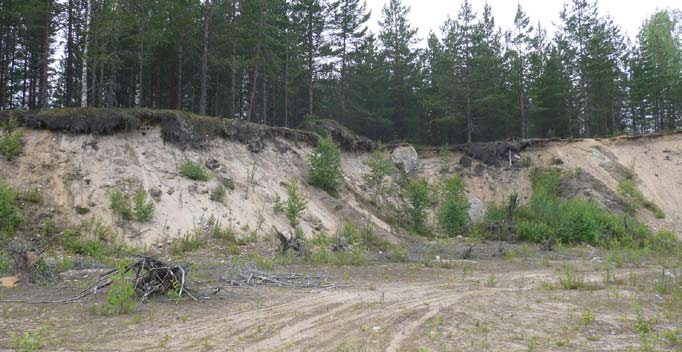 Kohde 82390104 sijaitsee Maaherranniemen I-luokan pohjavesialueella. Törmäpääskyn pesät peittyvät valuvan humuskerroksen alle. senttiyksikön verran.